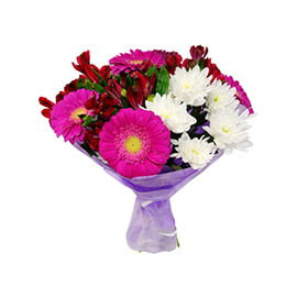 Crimson Passion Rose