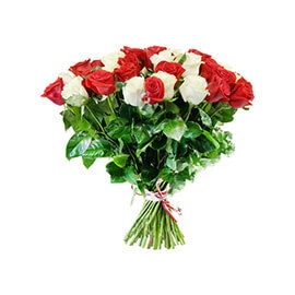 Classic Red Rose